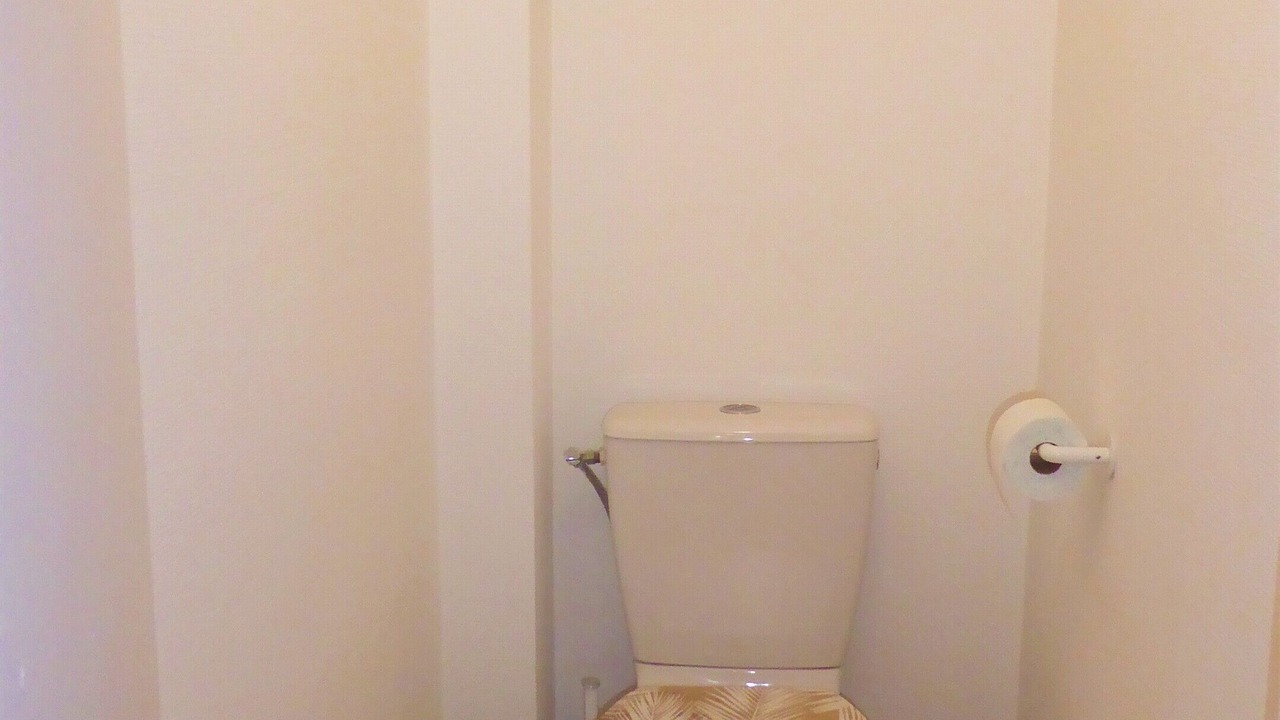 Photo of Bathroom in Annecy Old Town