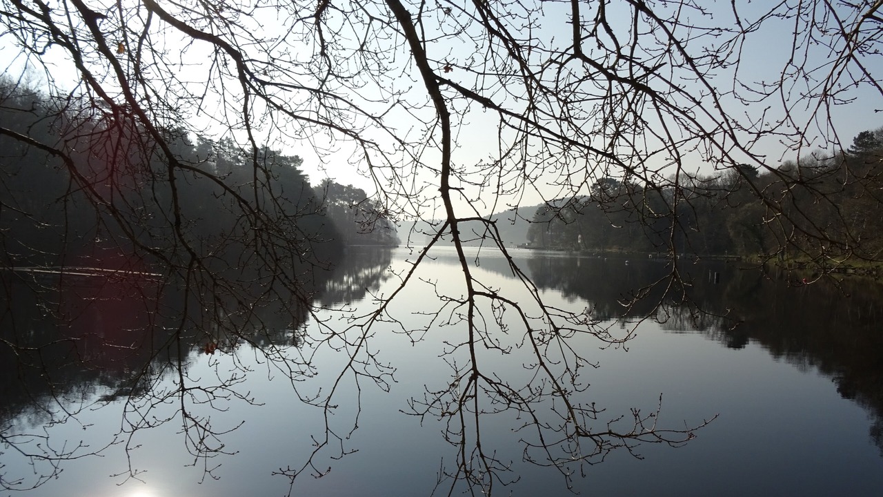 Photo of Others in Caurel