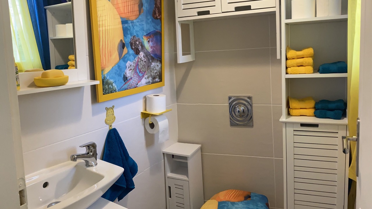 Photo of Bathroom in Bonrepos-sur-Aussonnelle