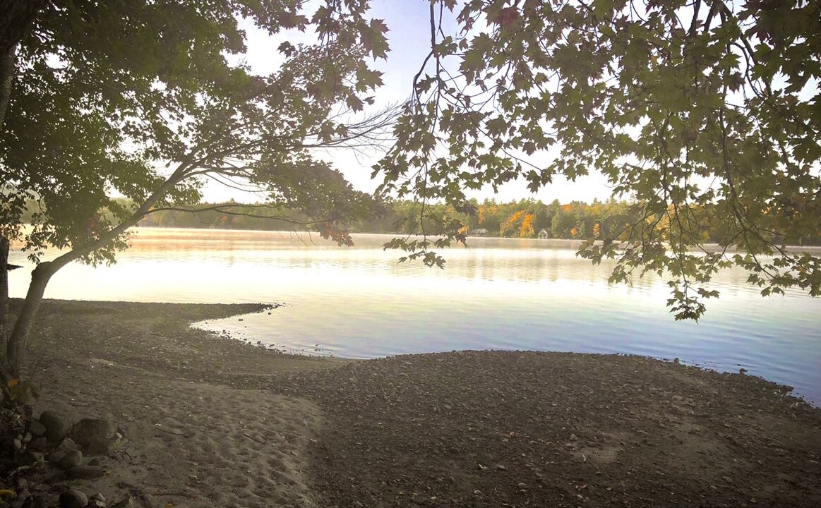 Photo of Others in Bridgewater