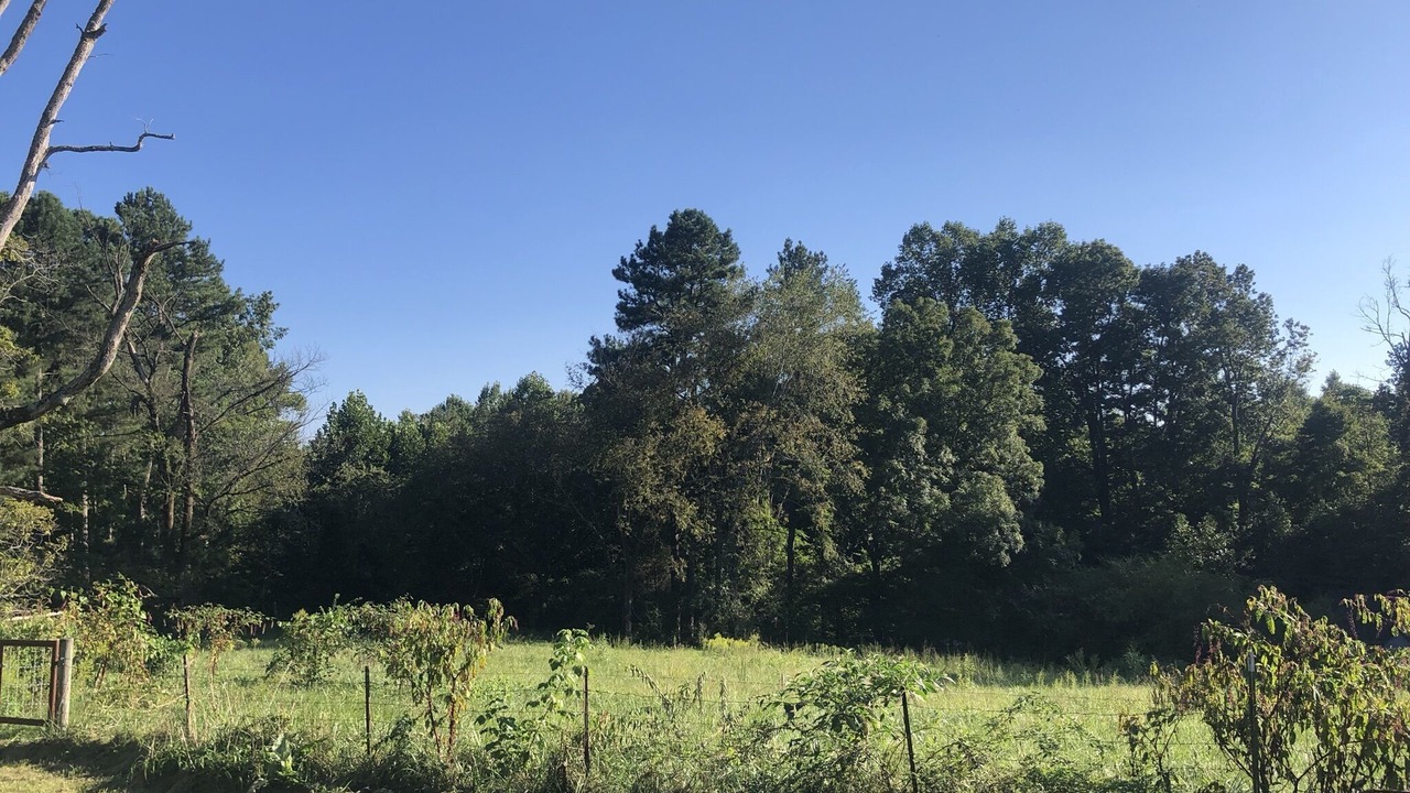 Photo of Outdoor in Joelton