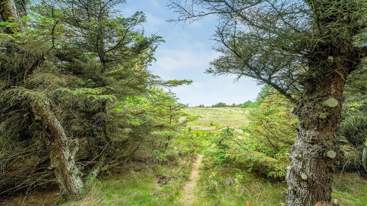 Photo of Outdoor in Sønder Vorupør