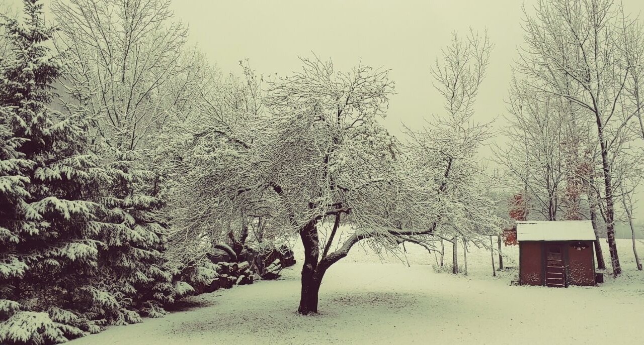 Photo of Others in Richfield Springs
