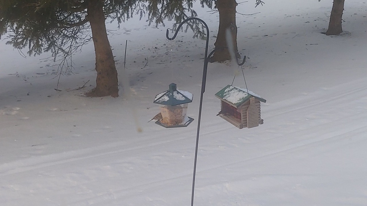 Photo of Others in Richfield Springs
