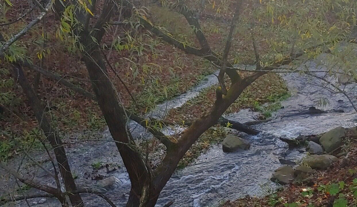 Photo of Others in Richfield Springs