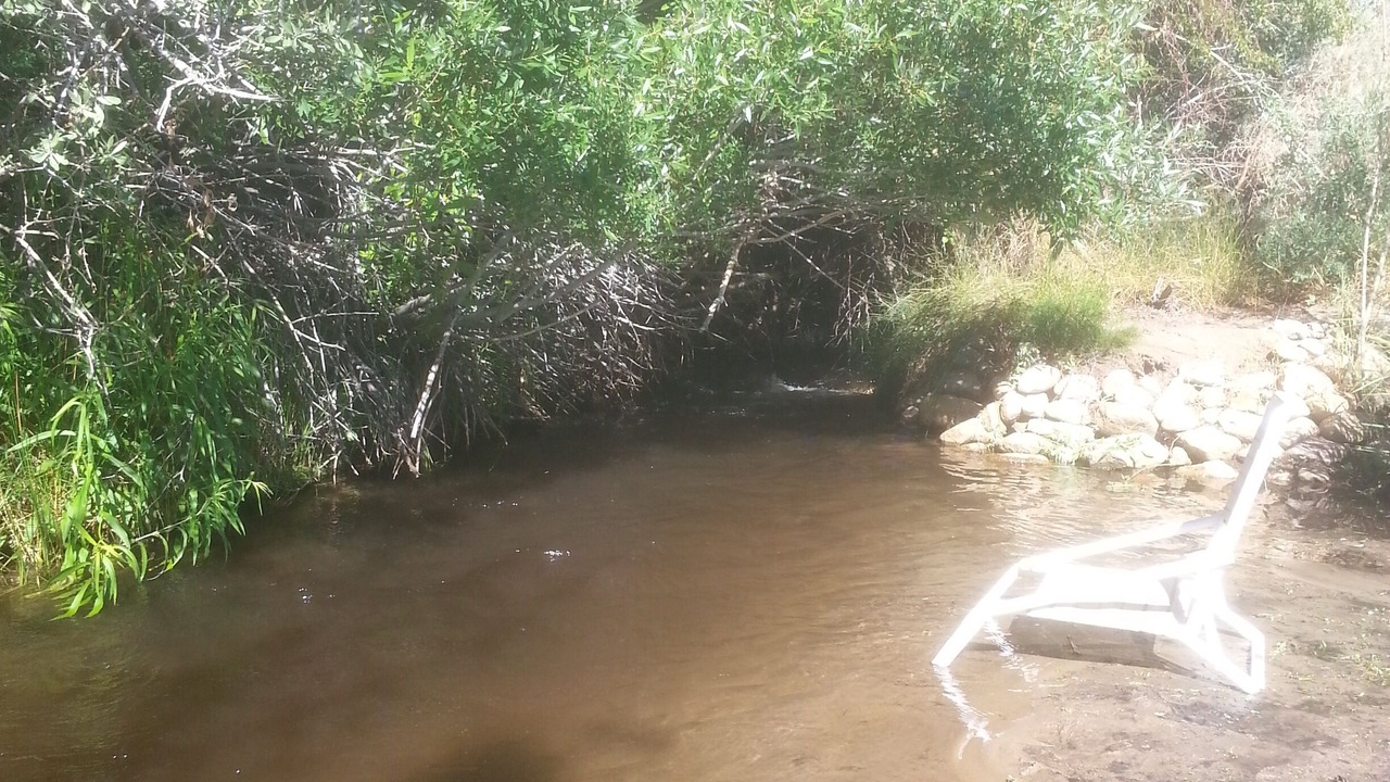 Photo of Outdoor in Dyer