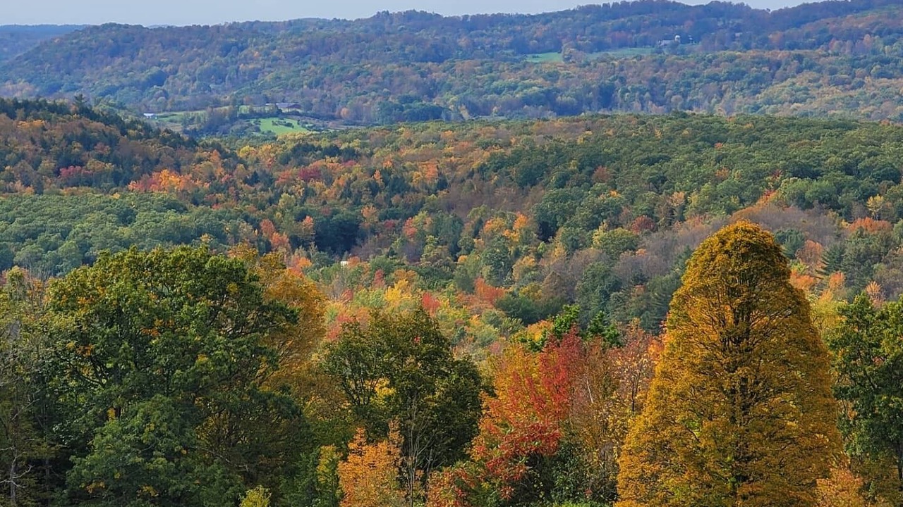 Photo of Outdoor in Town of Hebron