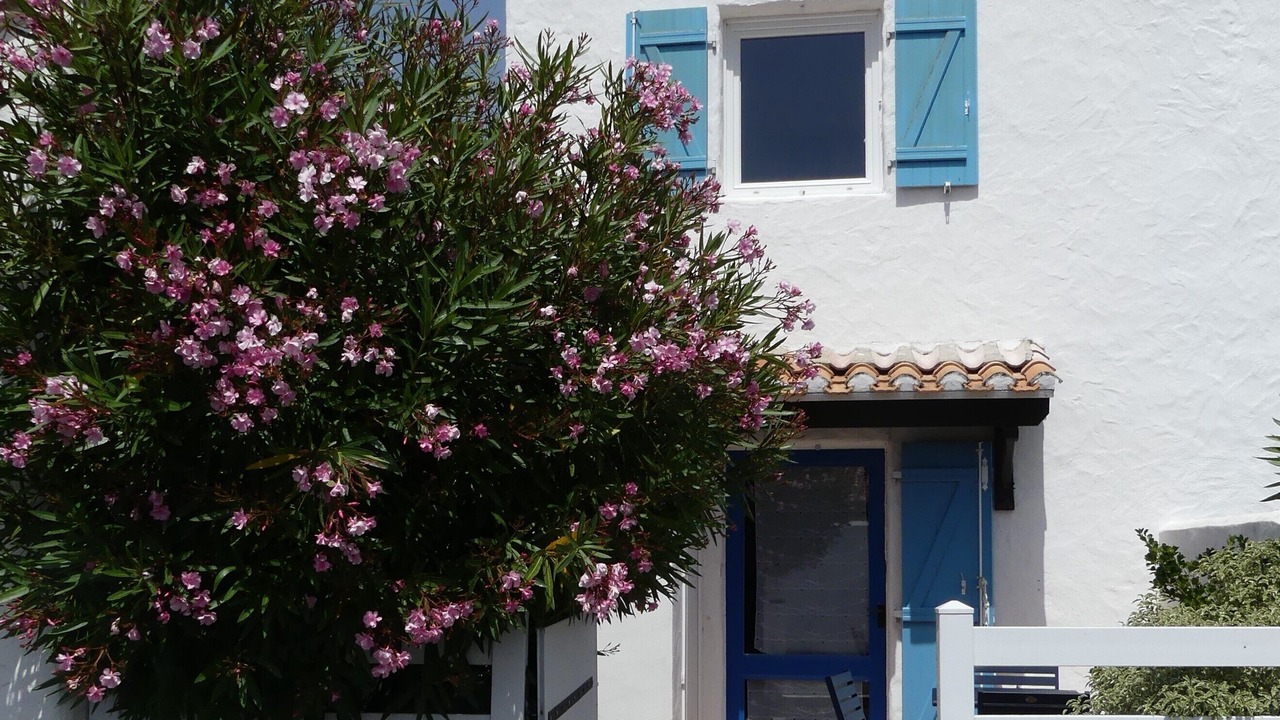 Photo of Outdoor in La Gueriniere