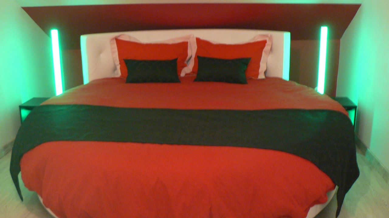 Photo of Bedroom in Saint-Laurent-la-Roche