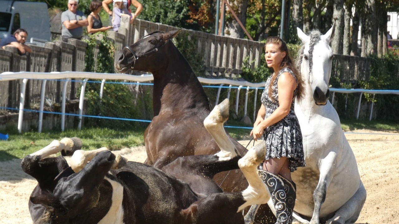 Photo of Outdoor in Saint-Sornin-Lavolps