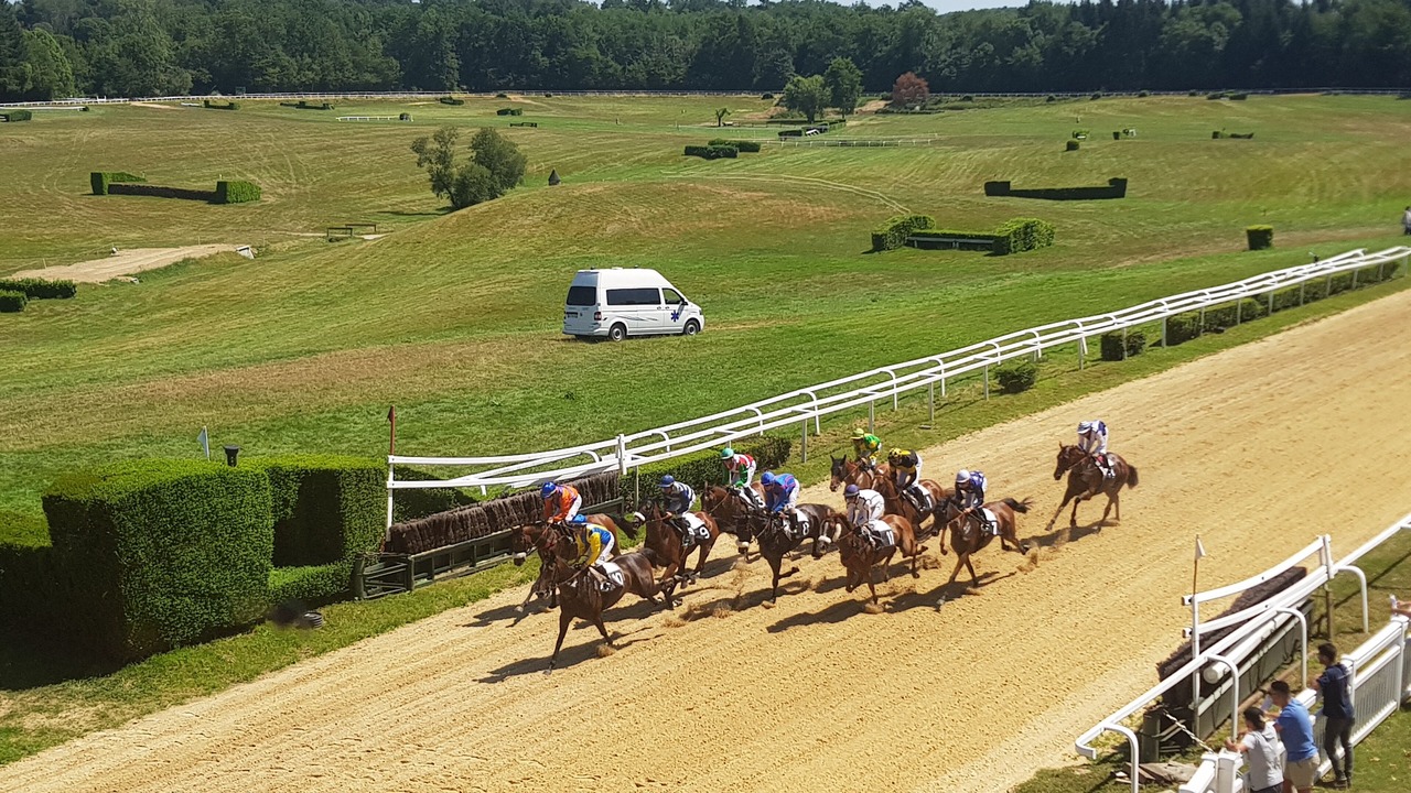 Photo of Others in Saint-Sornin-Lavolps