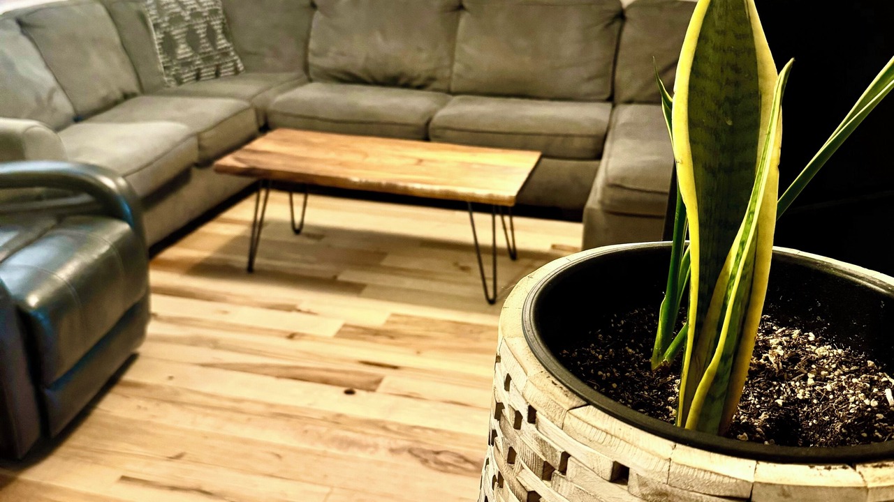 Photo of Livingroom in Redmond