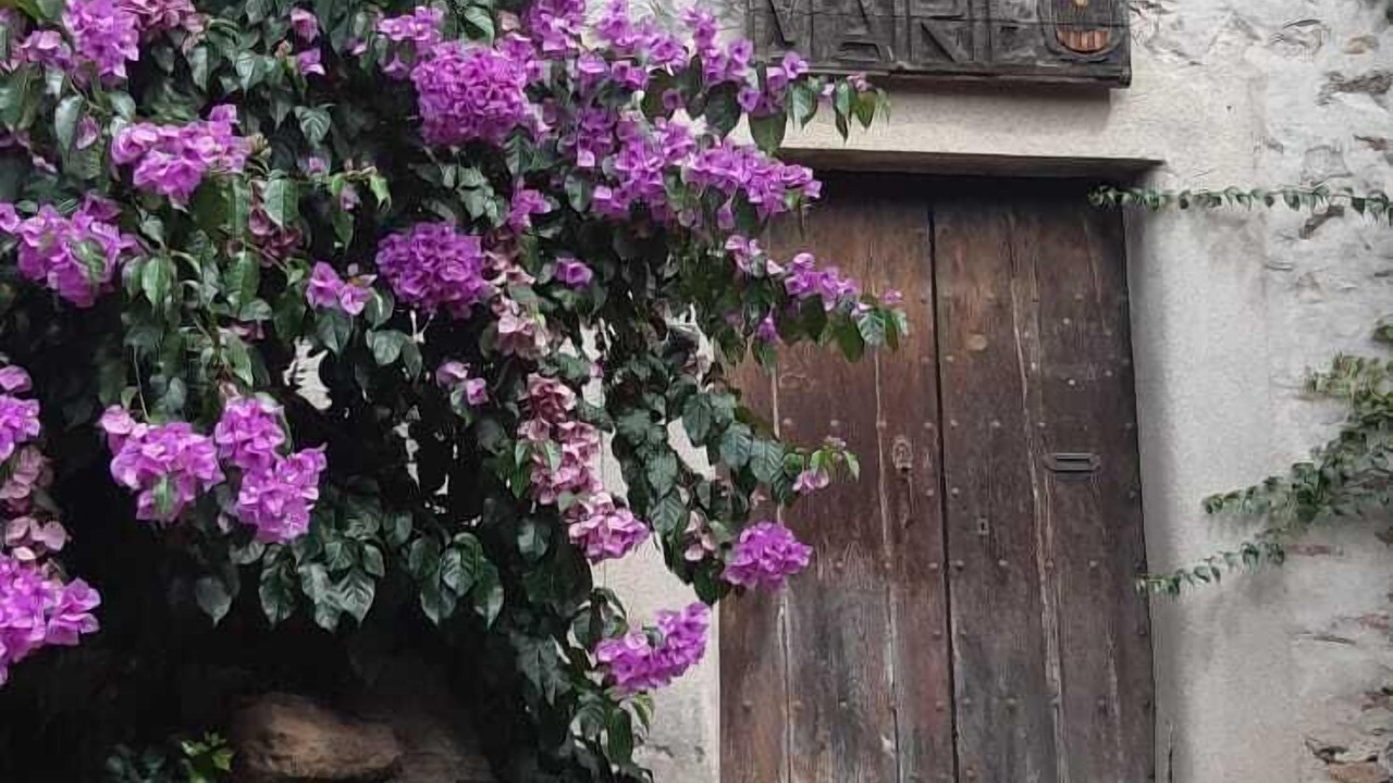 Photo of Outdoor in Amelie-les-Bains-Palalda