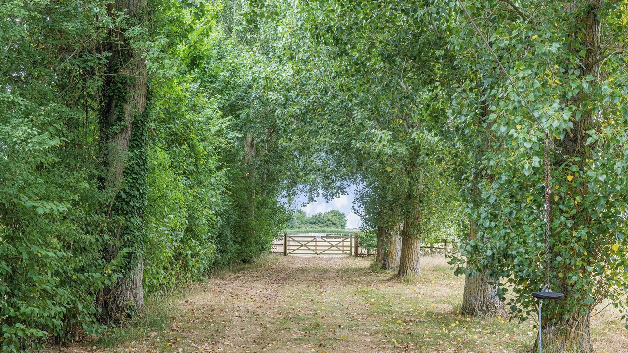 Photo of Outdoor in Eye