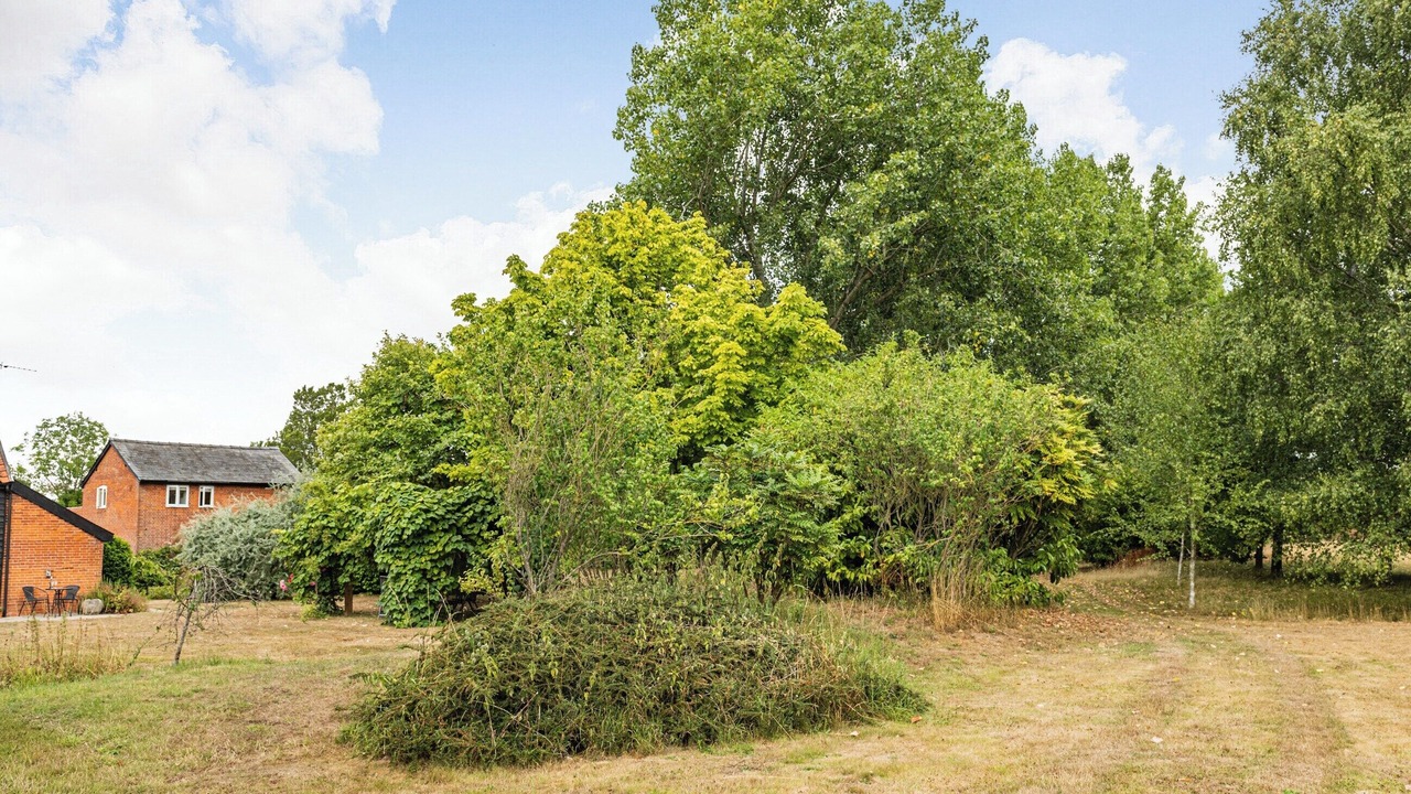 Photo of Outdoor in Eye