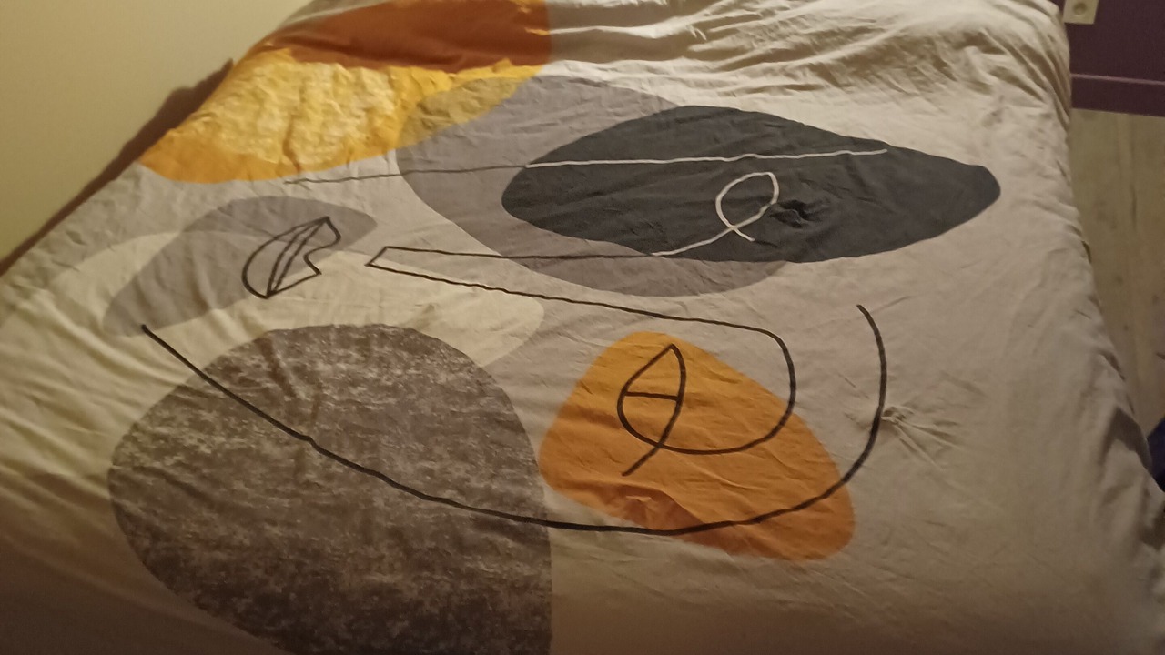 Photo of Bedroom in Port-Brillet