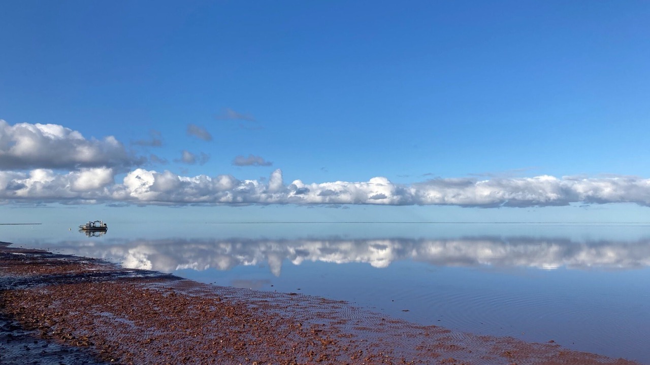 Photo of Others in Prince County