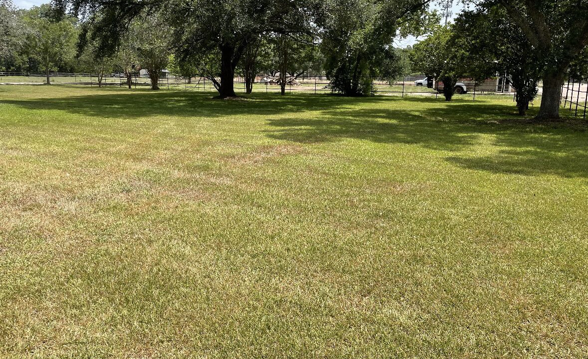 Photo of Outdoor in Sienna Plantation
