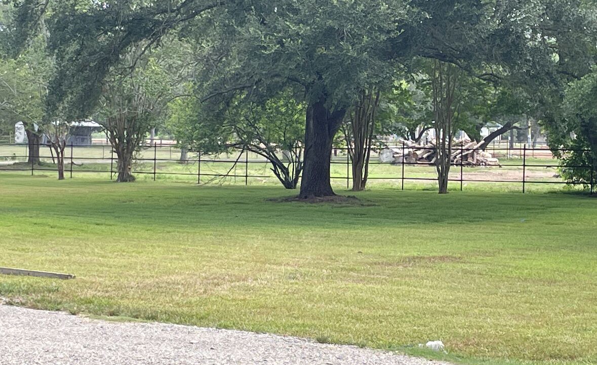 Photo of Others in Sienna Plantation