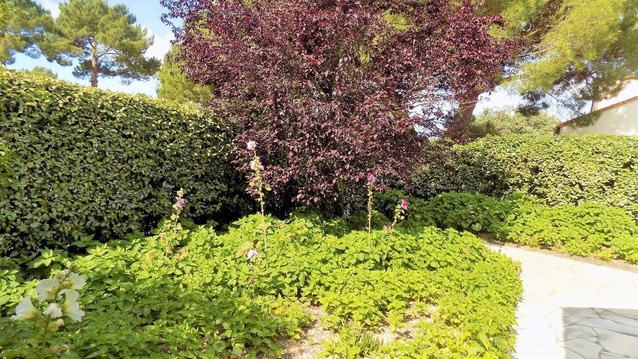 Photo of Outdoor in La Palmyre