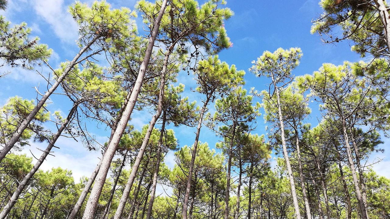 Photo of Outdoor in Barbatre