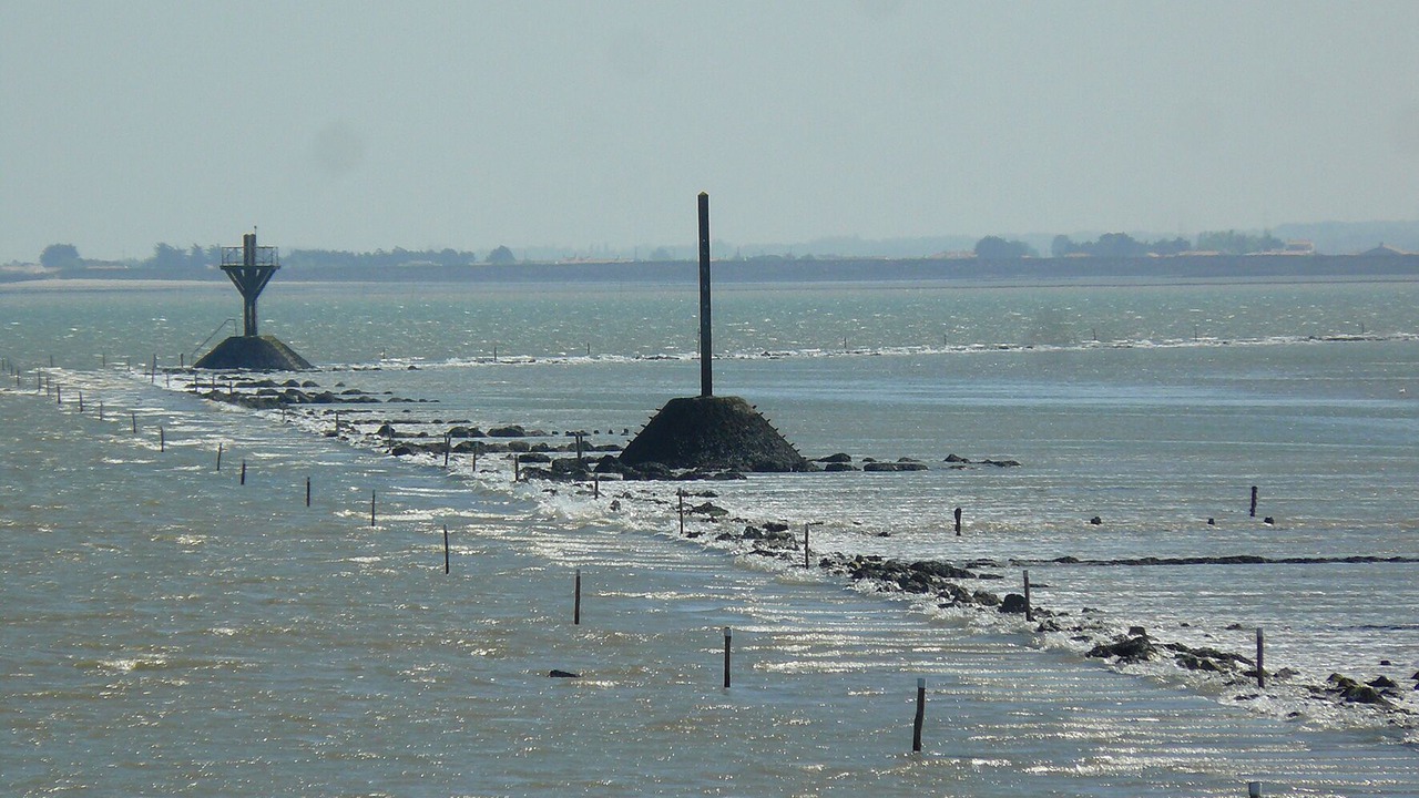 Photo of Others in Barbatre