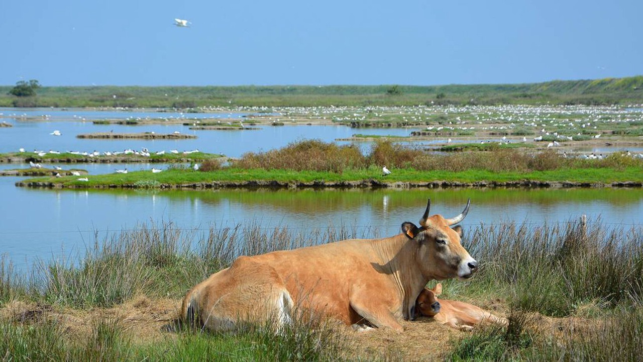 Photo of Others in Barbatre