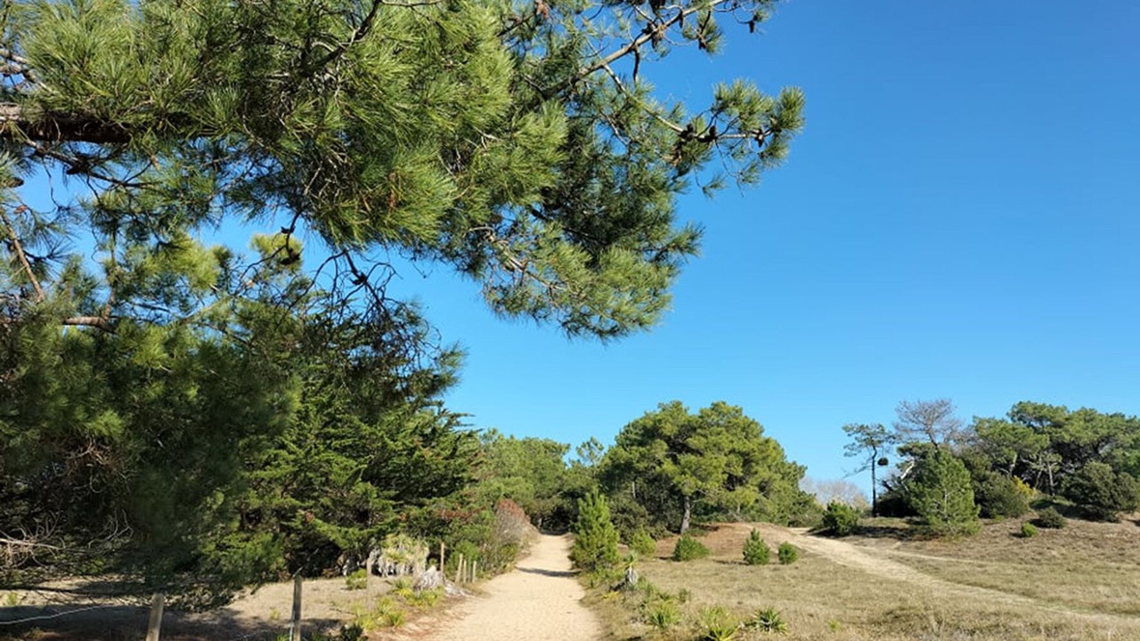 Photo of Outdoor in Barbatre