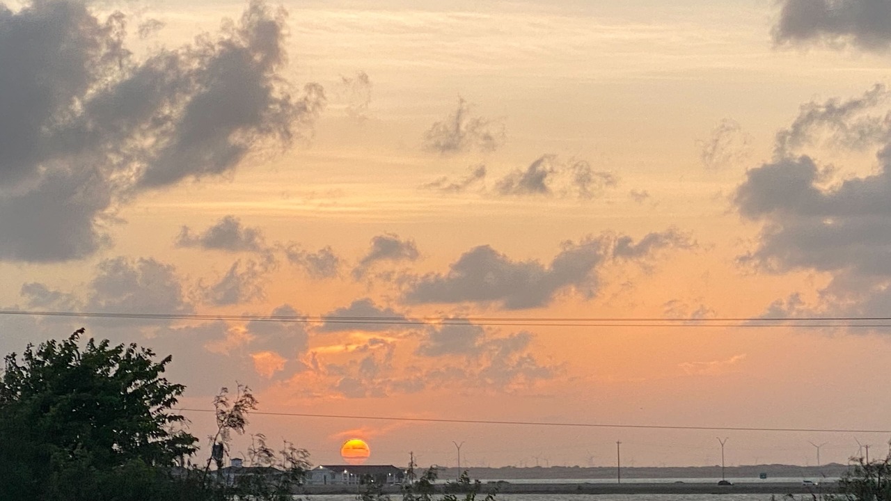 Photo of Others in Portland