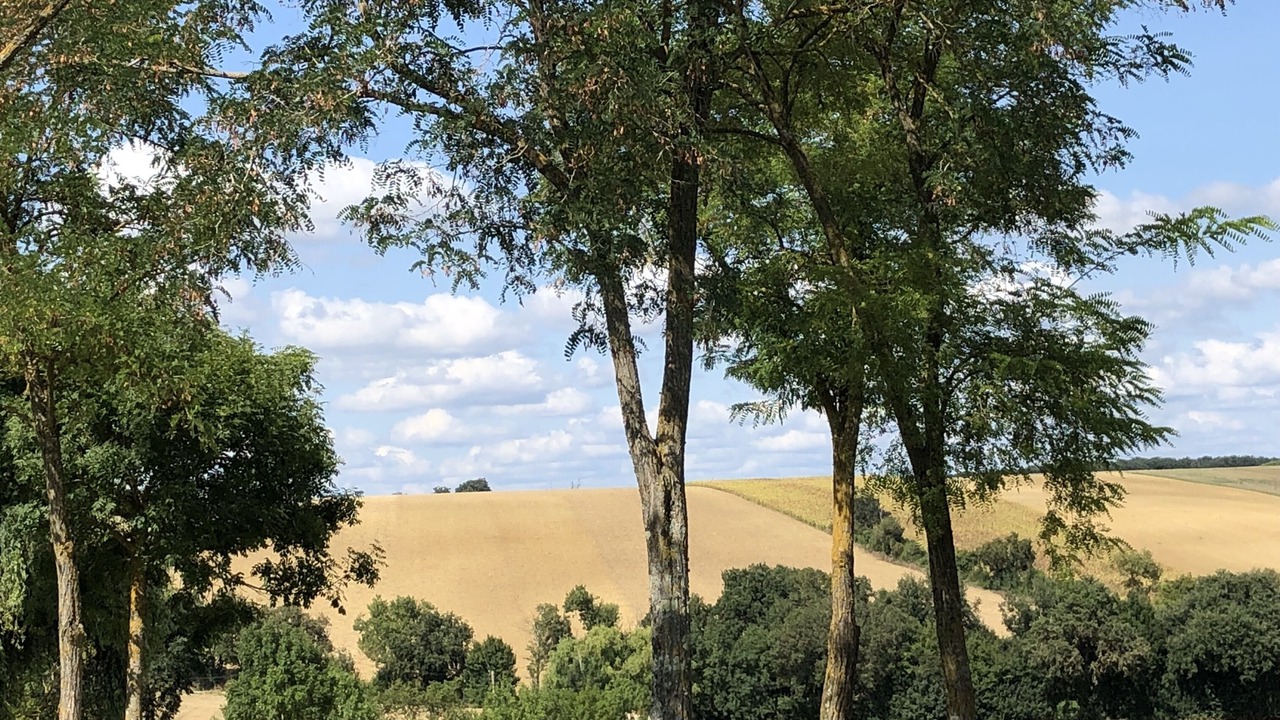Photo of Outdoor in Monfort