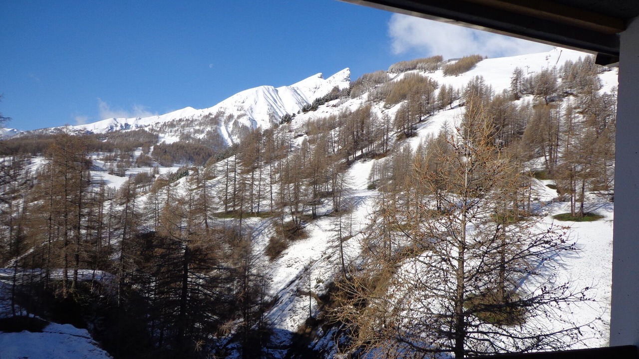 Photo of Others in Allos