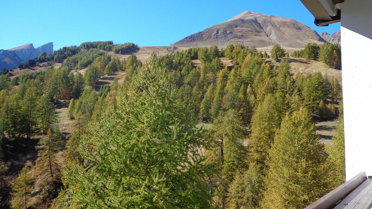 Photo of Others in Allos