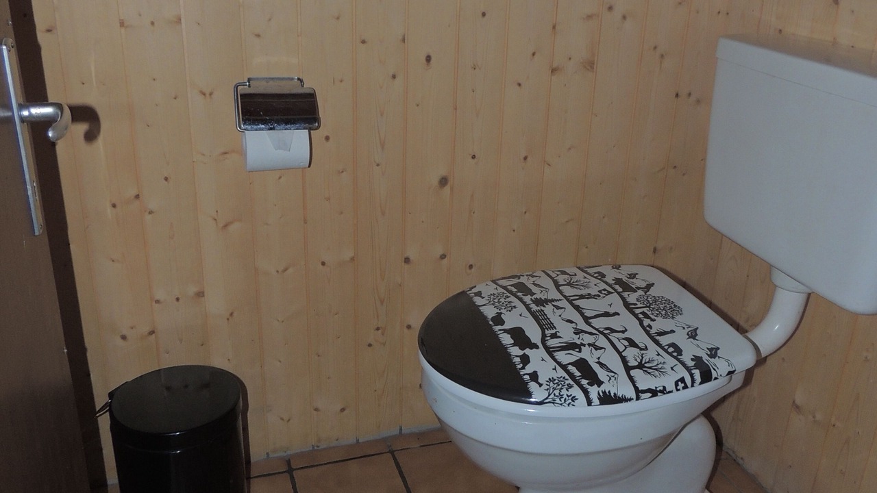 Photo of Bathroom in Wilderswil