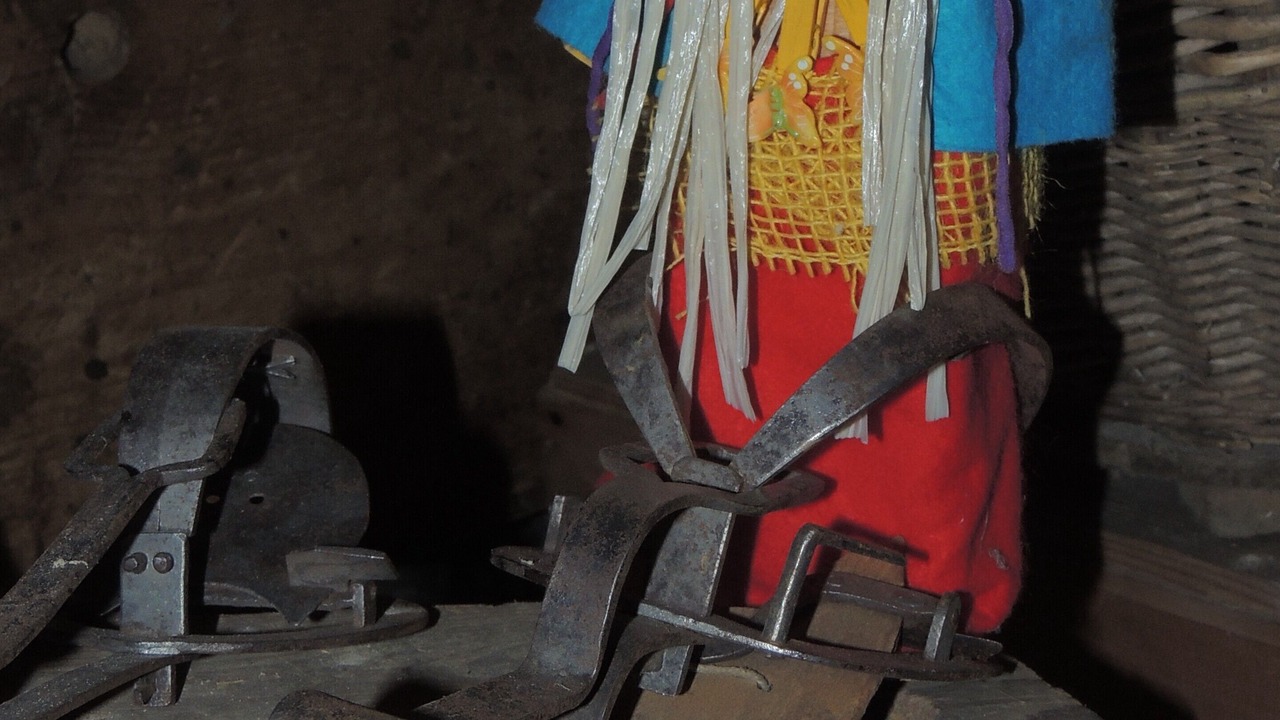 Photo of Others in Wilderswil