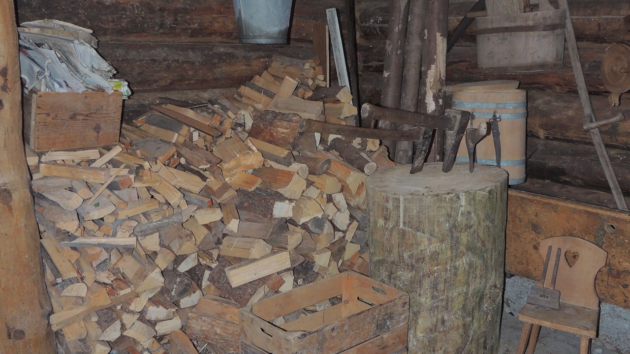 Photo of Outdoor in Wilderswil