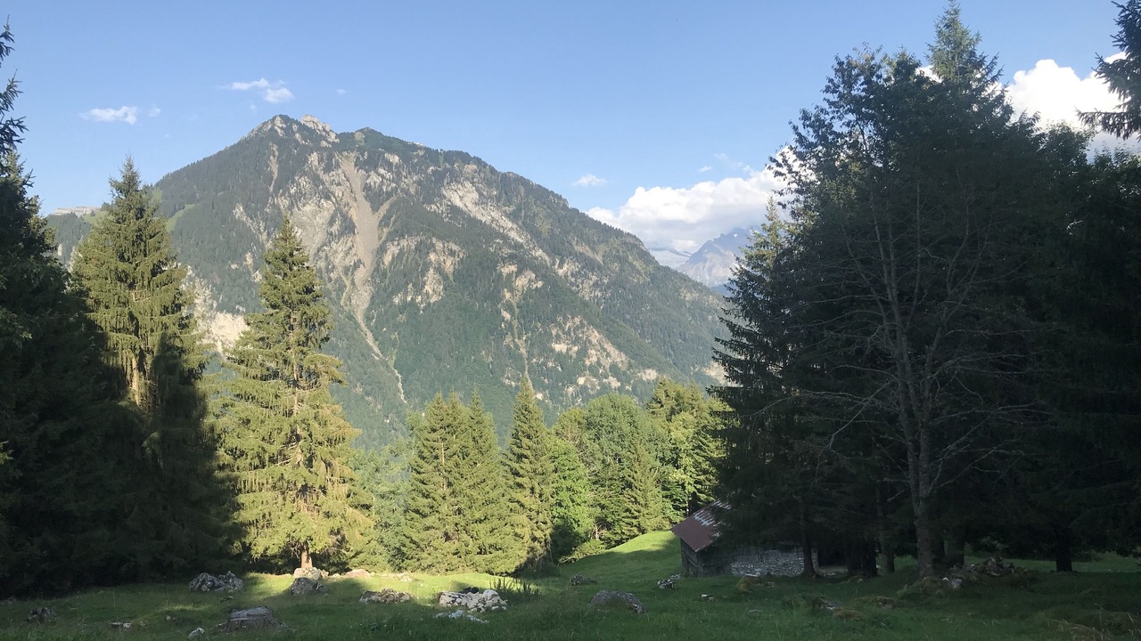 Photo of Outdoor in Wilderswil