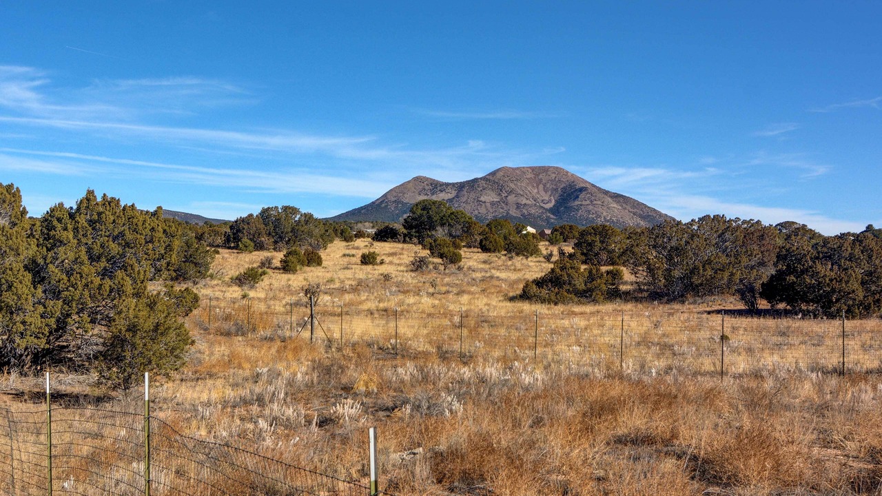 Photo of Others in Sandia Park