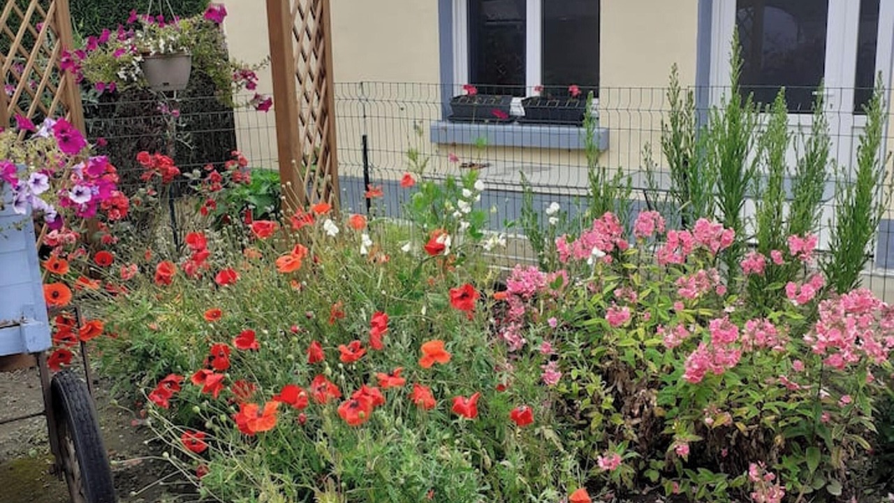 Photo of Outdoor in Saint-Blimont