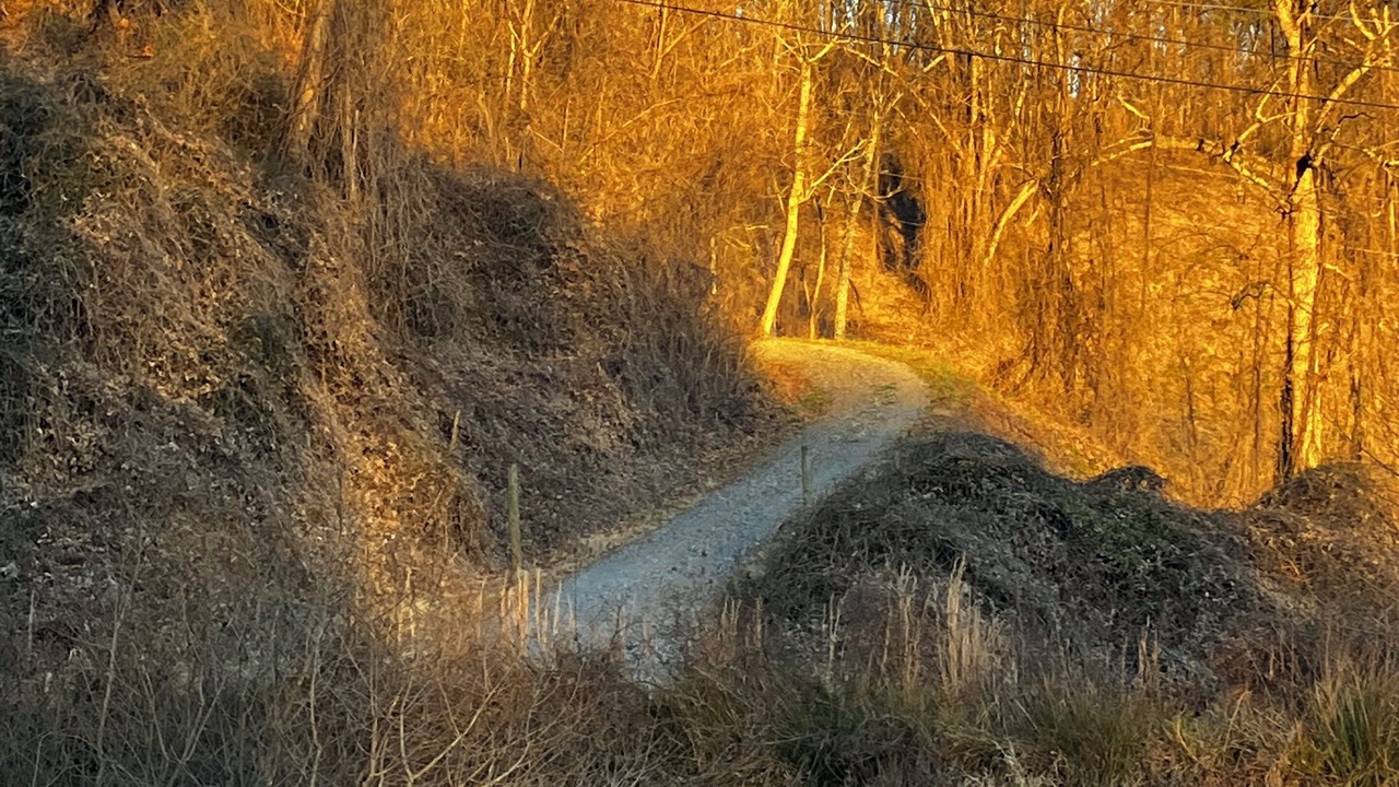 Photo of Others in Sylva