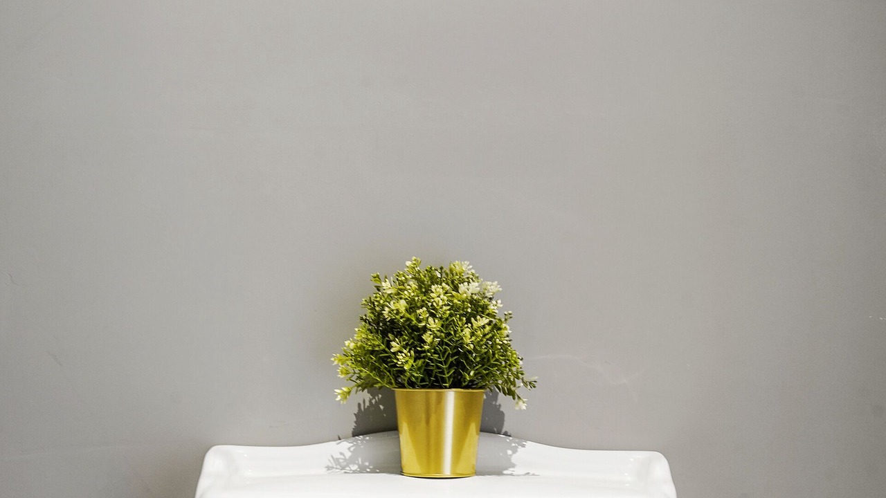 Photo of Others in Golborne