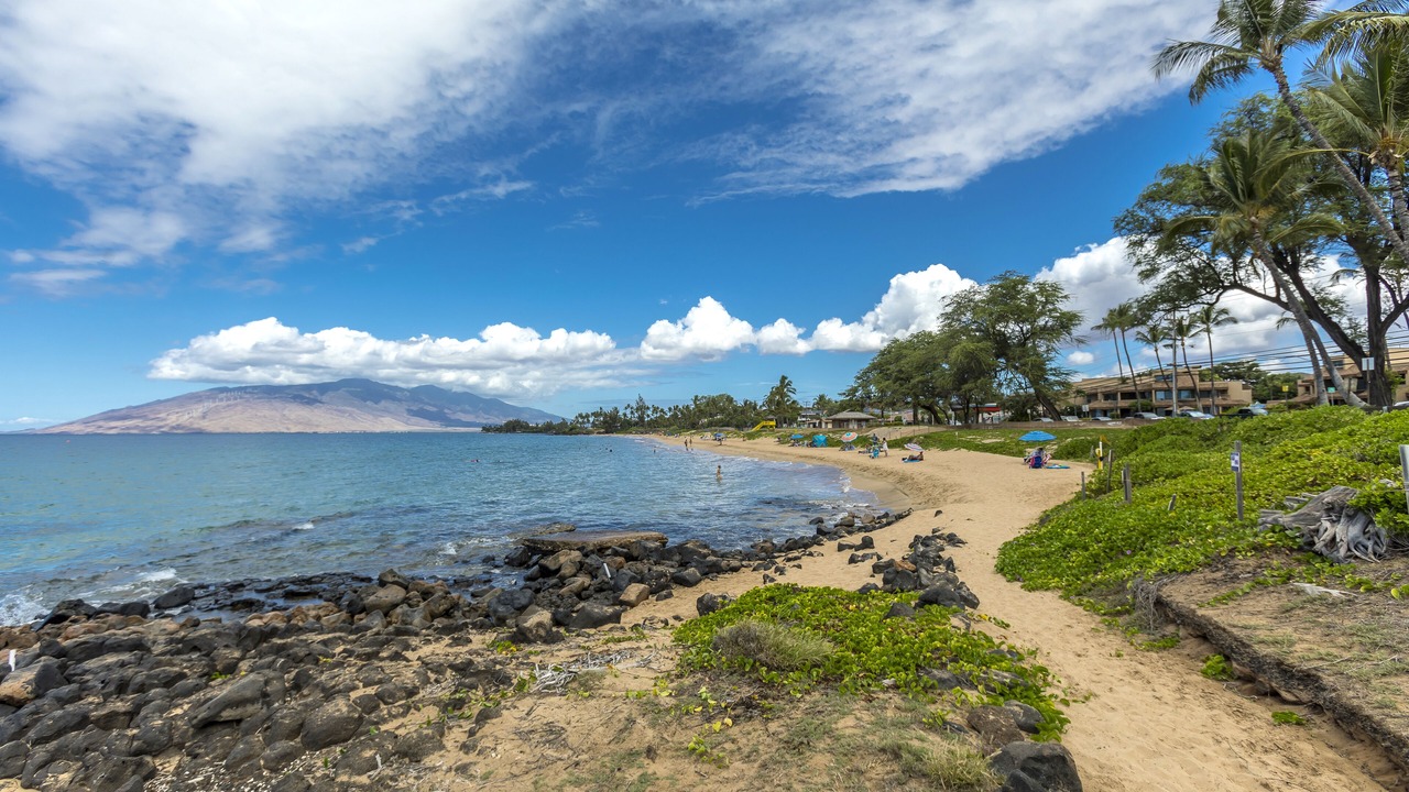 Photo of Others in Kihei