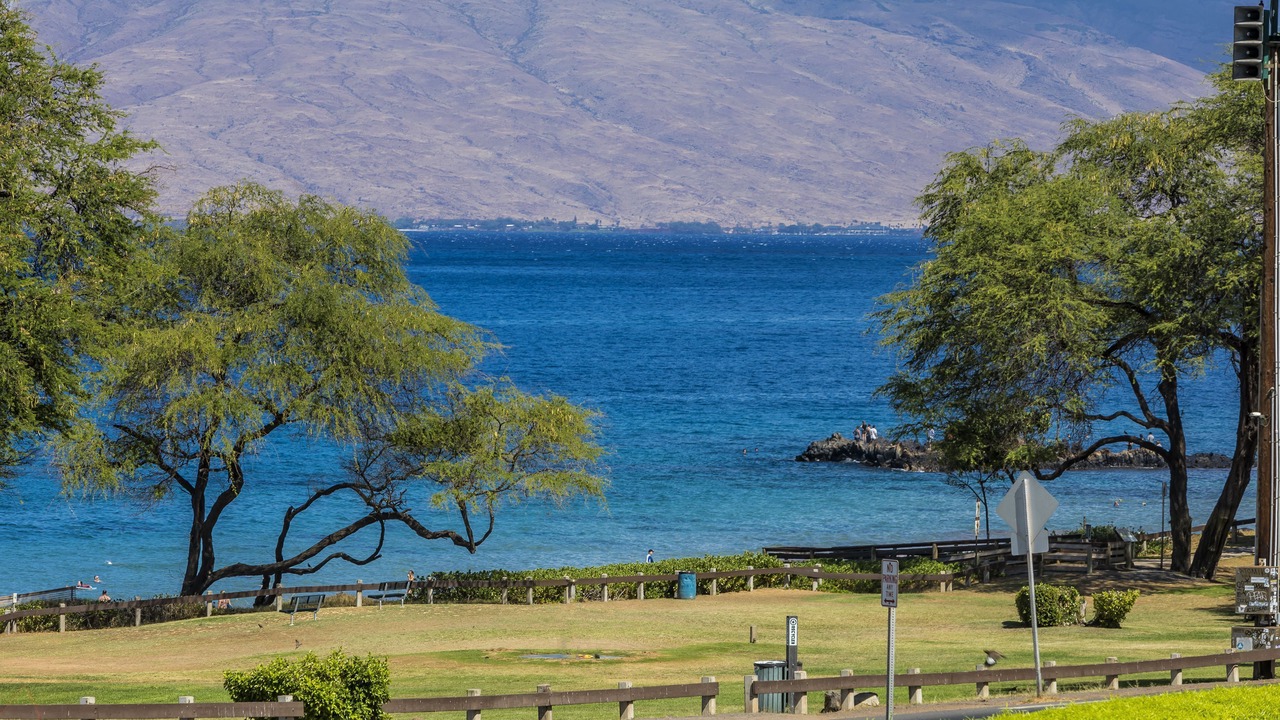 Photo of Others in Kihei