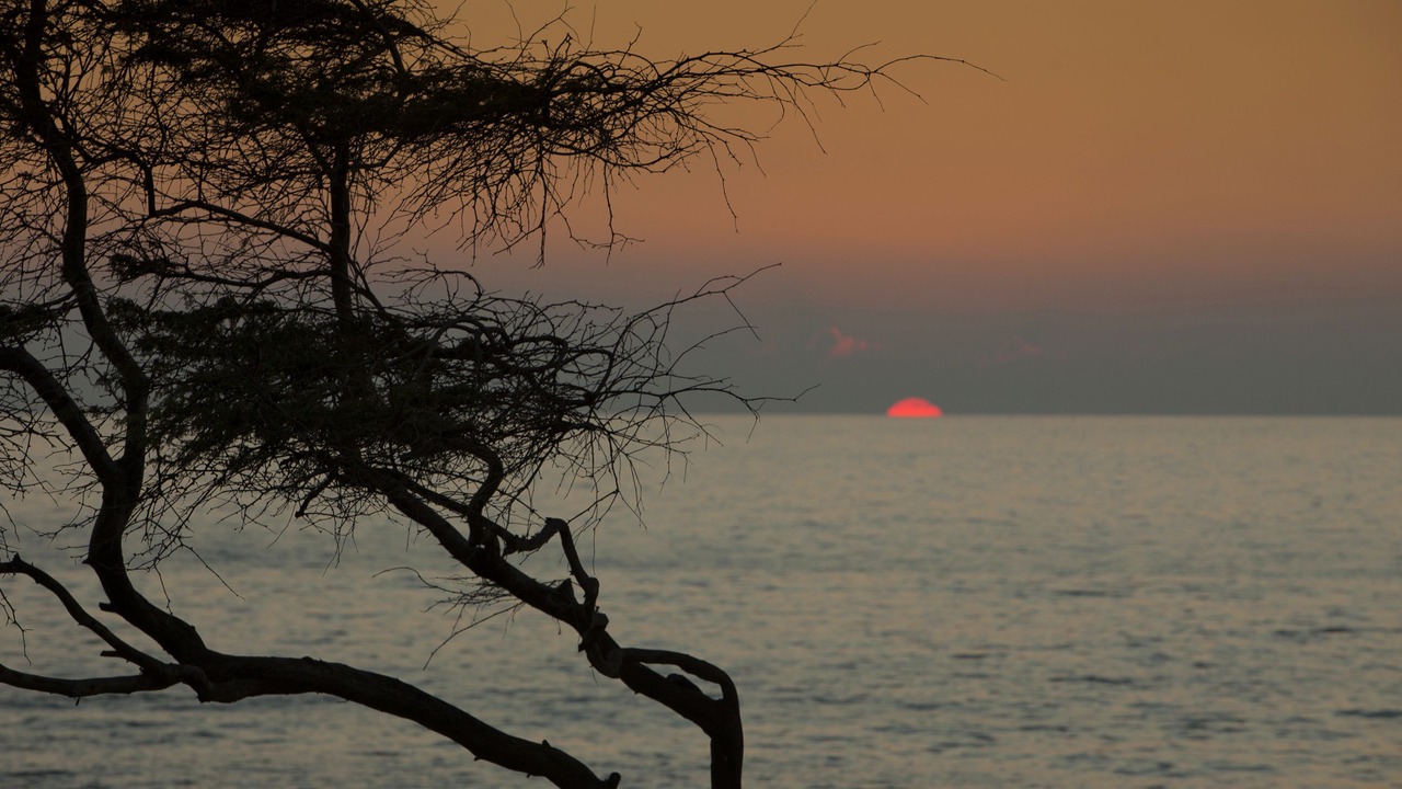 Photo of Others in Kihei