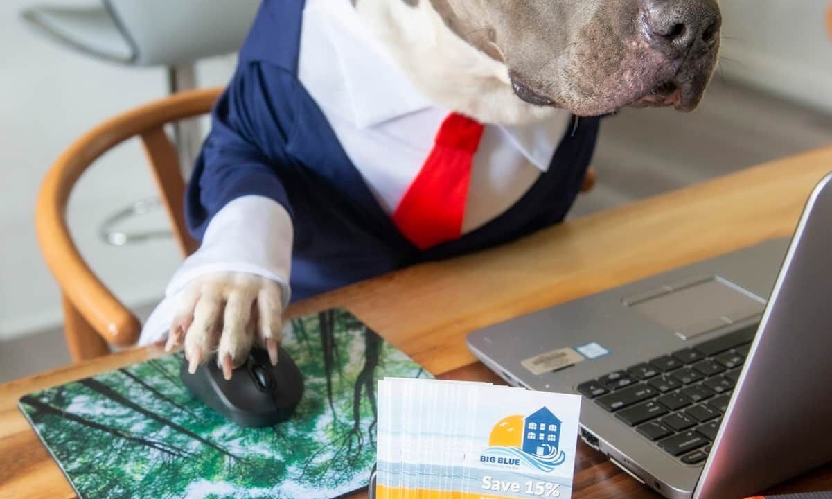 Photo of Others in Willoughby Spit