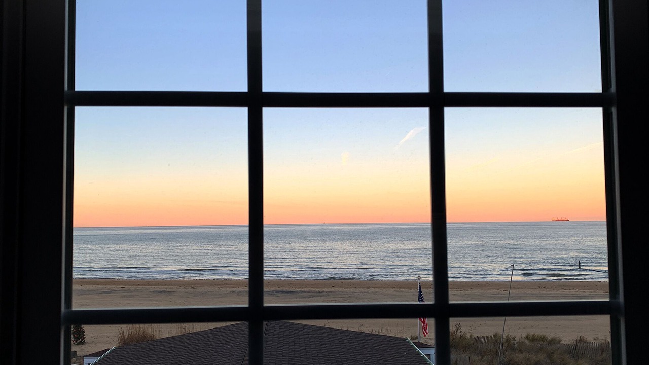 Photo of Others in Willoughby Spit