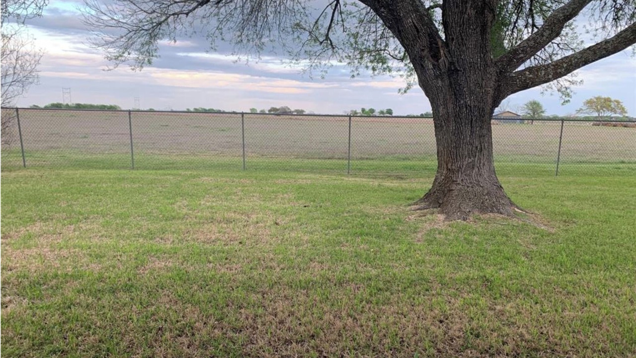 Photo of Outdoor in Schulenburg