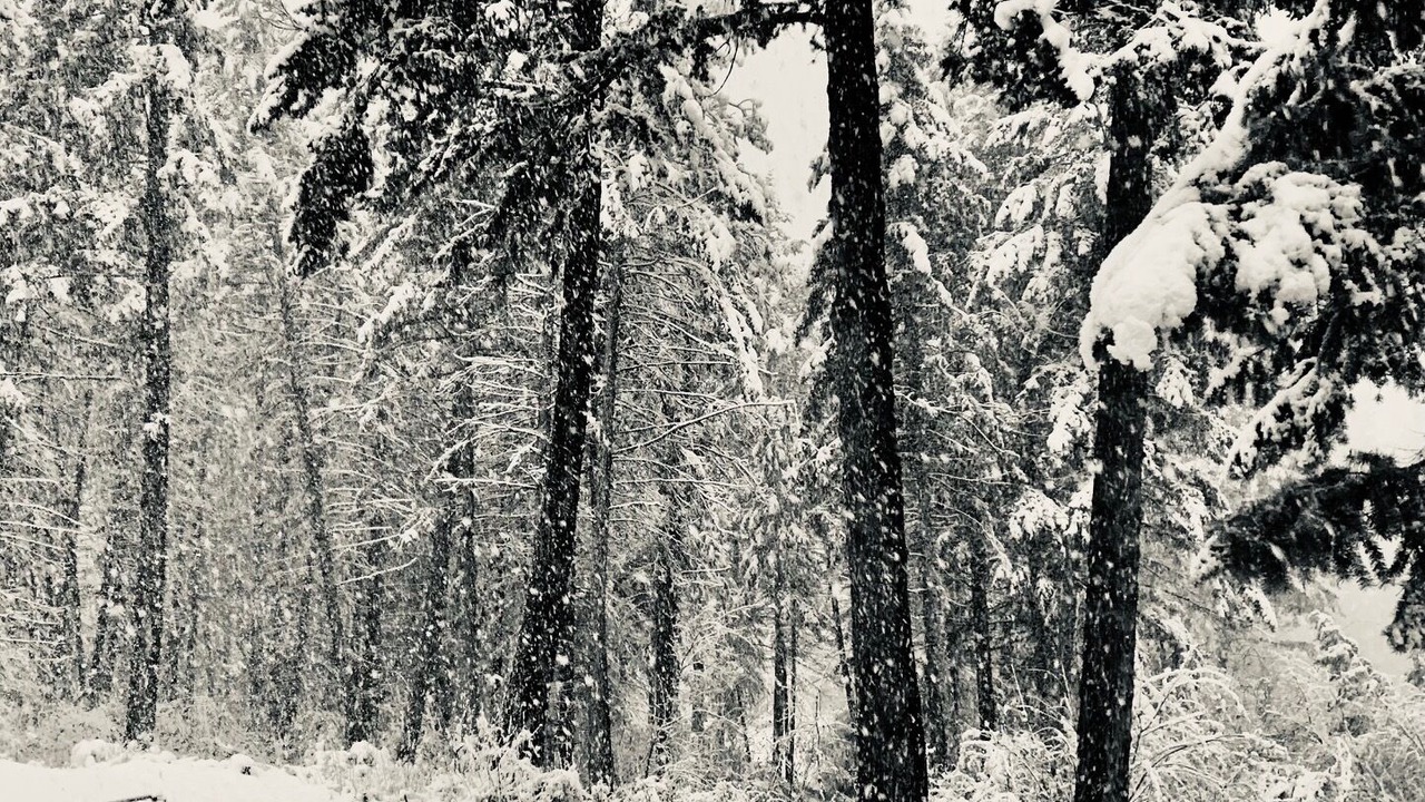 Photo of Others in Bigfork