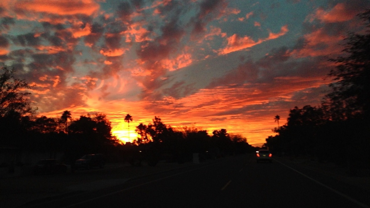 Photo of Others in Paradise Valley Village