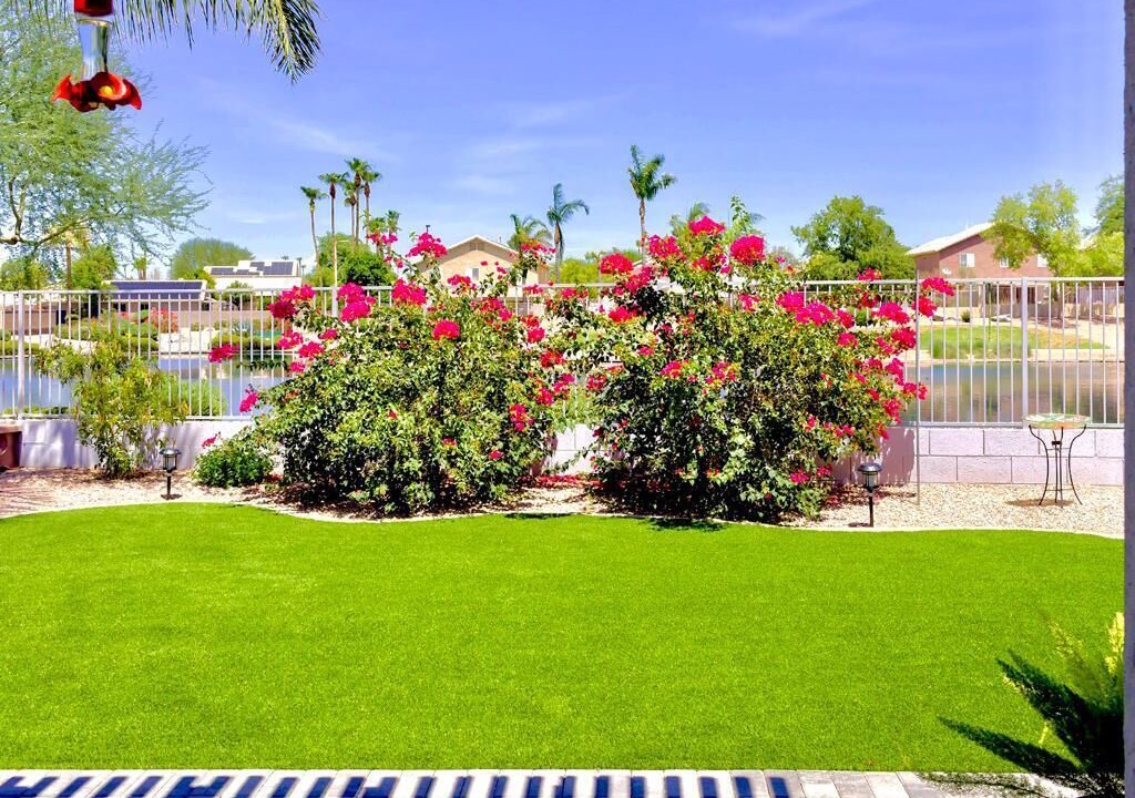 Photo of Outdoor in Superstition Springs