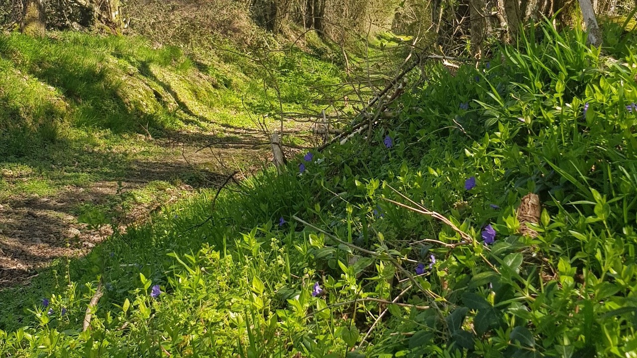 Photo of Outdoor in Oizon
